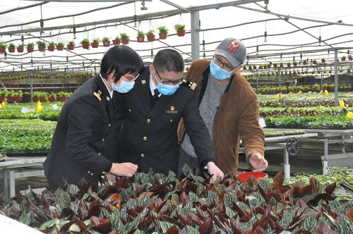 廣州農產品原材料進出口雙順暢，為農業生產注入新活力